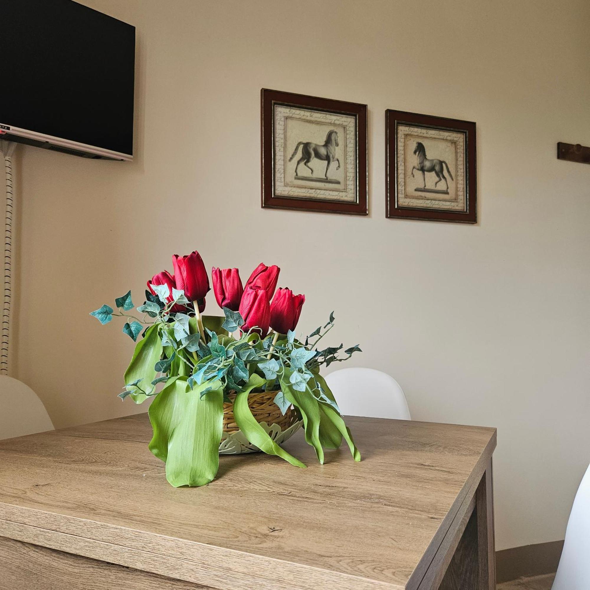 Agrifoglio Apartment Pantalla ภายนอก รูปภาพ